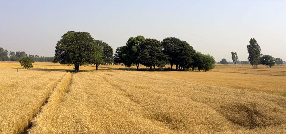 Surrounding areas