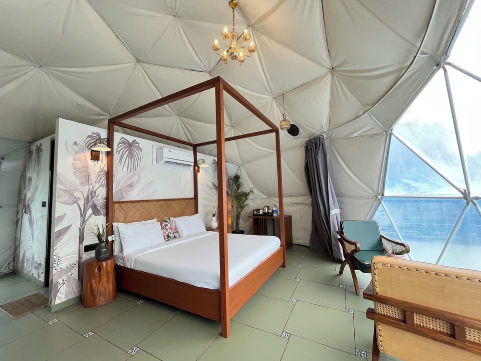 Forest Dome | Free WiFi