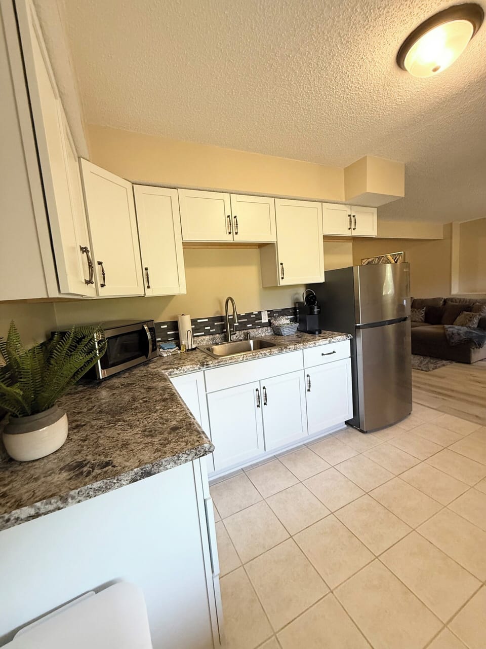 Basement Kitchen Area.