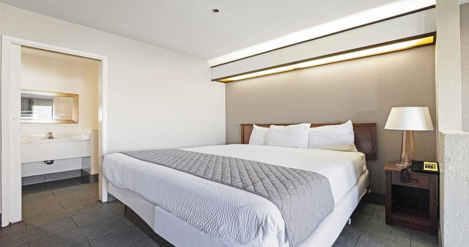 Room, 1 King Bed, Non Smoking | Soundproofing, iron/ironing board, free WiFi, bed sheets