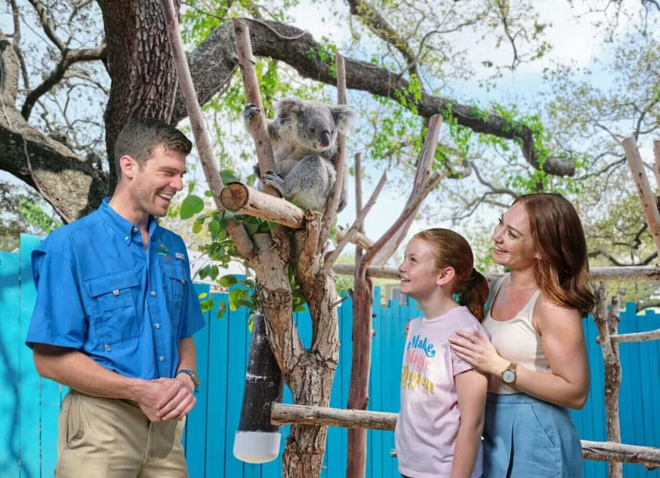 Explore the Tampa Zoo