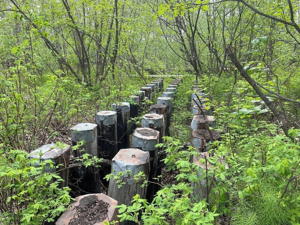 Nearby hiking trail - Palmer Rail Trail