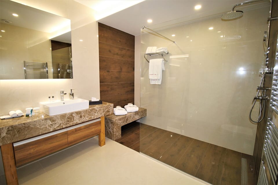 King Suite | Bathroom | Free toiletries, hair dryer, towels