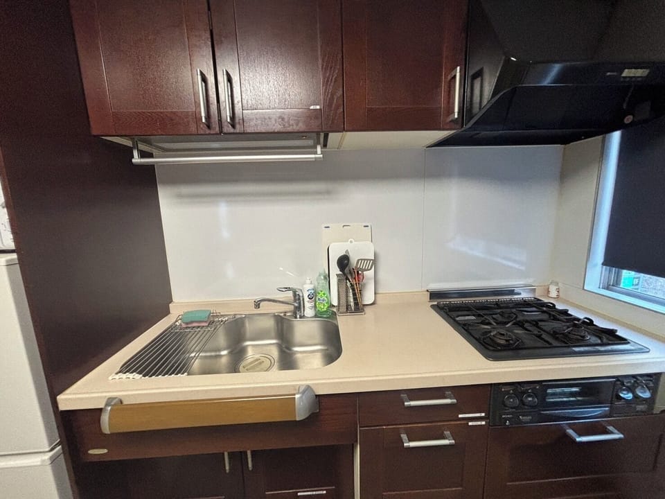 Deluxe Apartment, City View | Private kitchen | Shared fridge, shared microwave