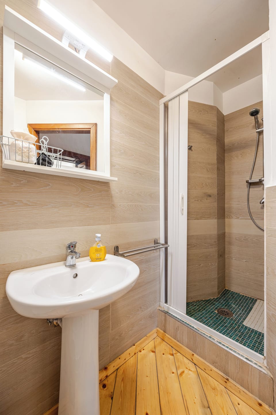Shower, hair dryer, bathrobes, bidet