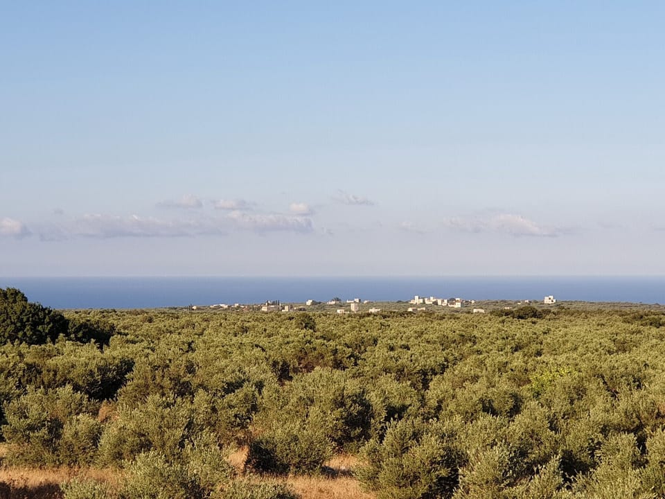 House, 3 Bedrooms, Smoking, Terrace | Hill view