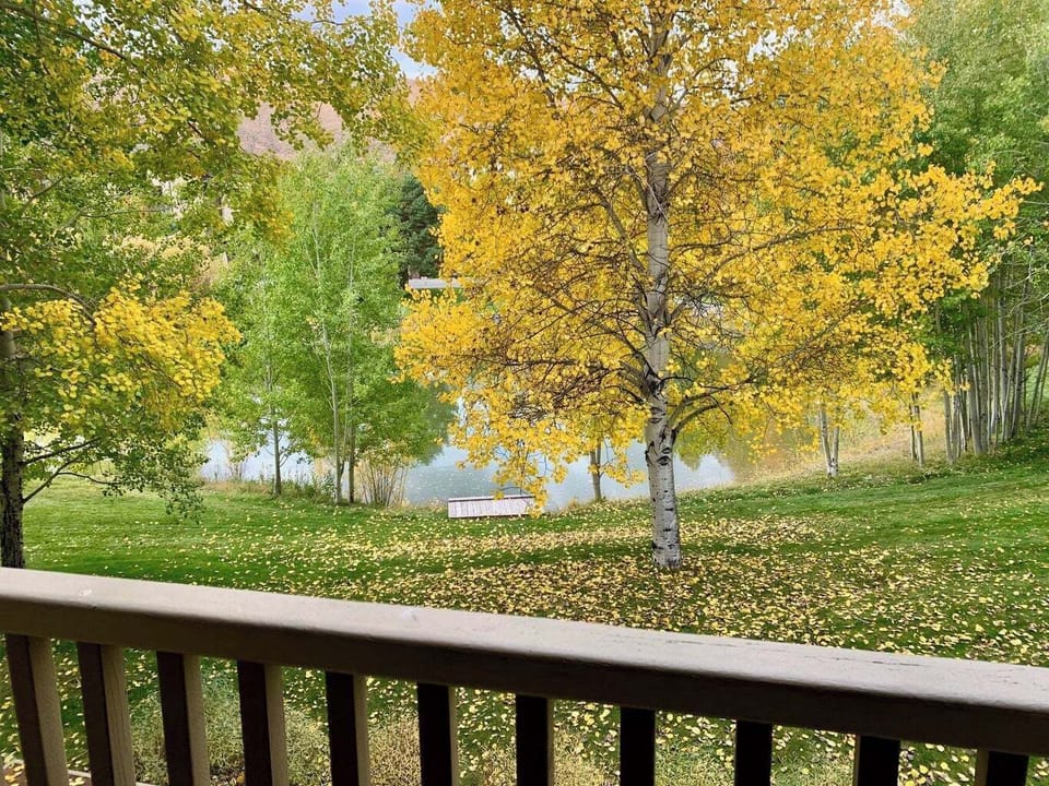 Deck overlooking pond
