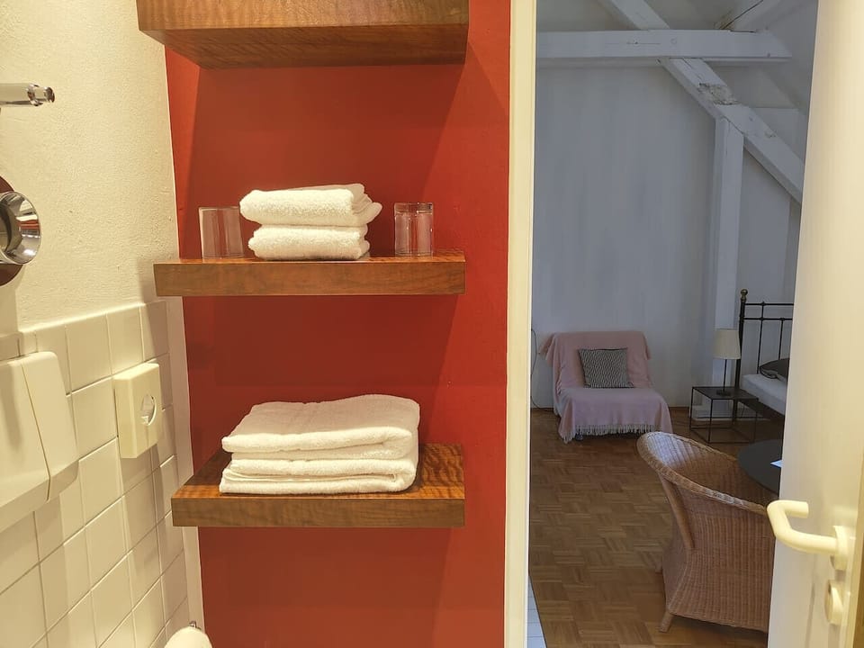 Modern Bathroom with Towels, Hairdryer and Body Soap