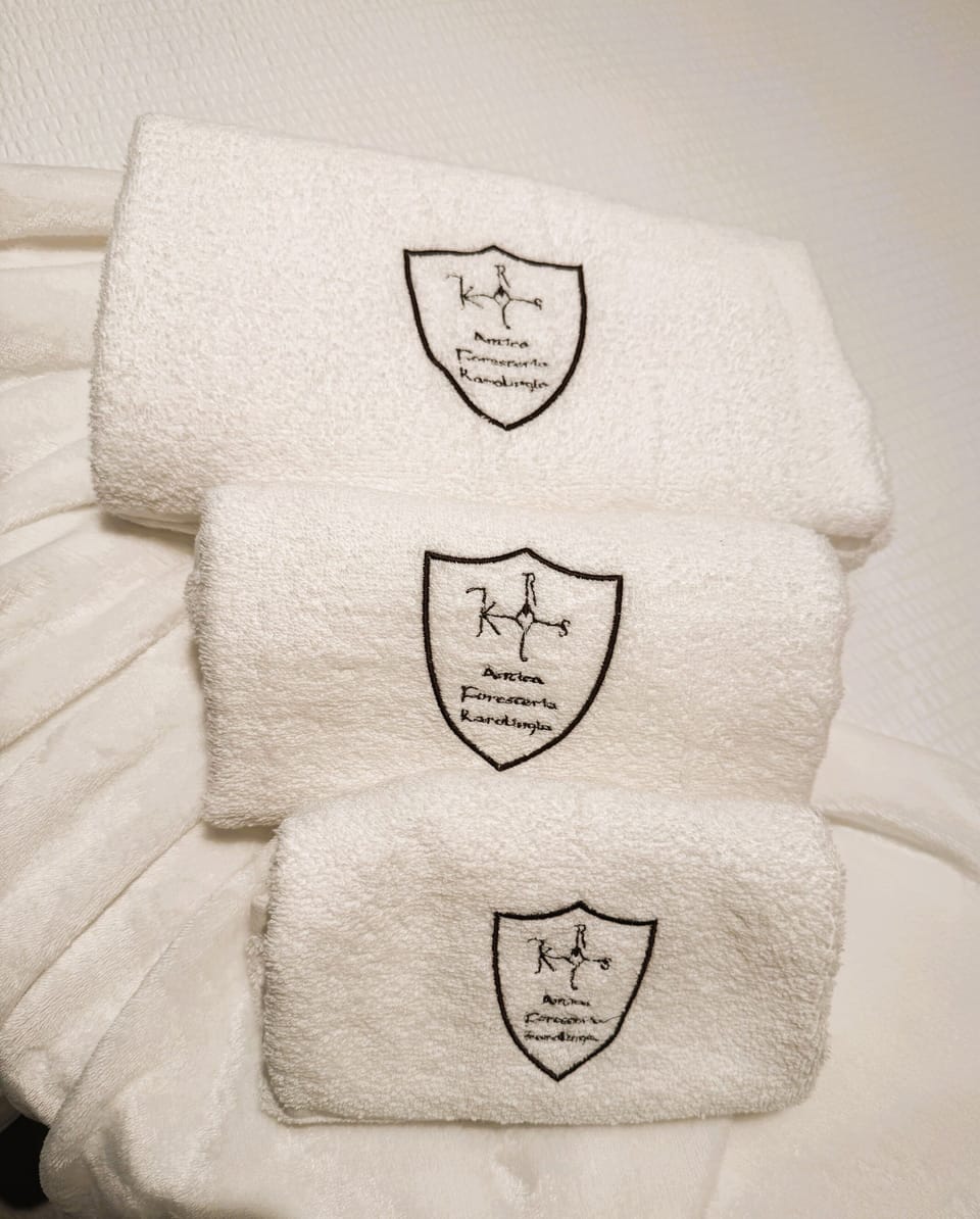 Shower, hair dryer, slippers, towels