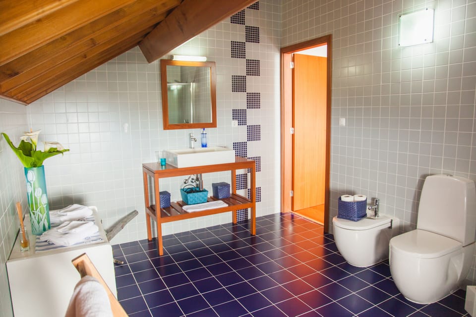 Superior Double or Twin Room, Private Bathroom | Bathroom | Hair dryer, towels