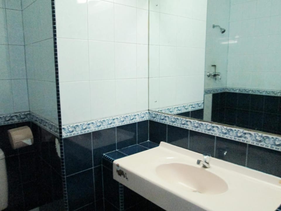 Shower, free toiletries, towels