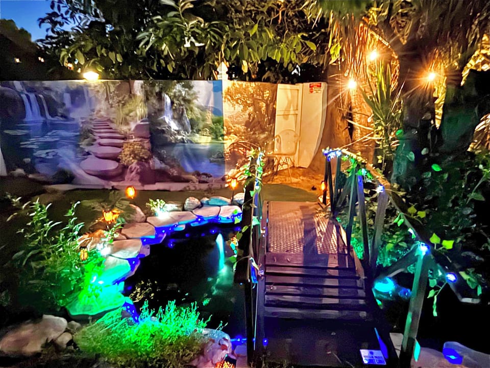 Solar night lights keep the pond vibrant and alive at night
