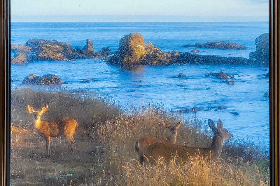 View from property