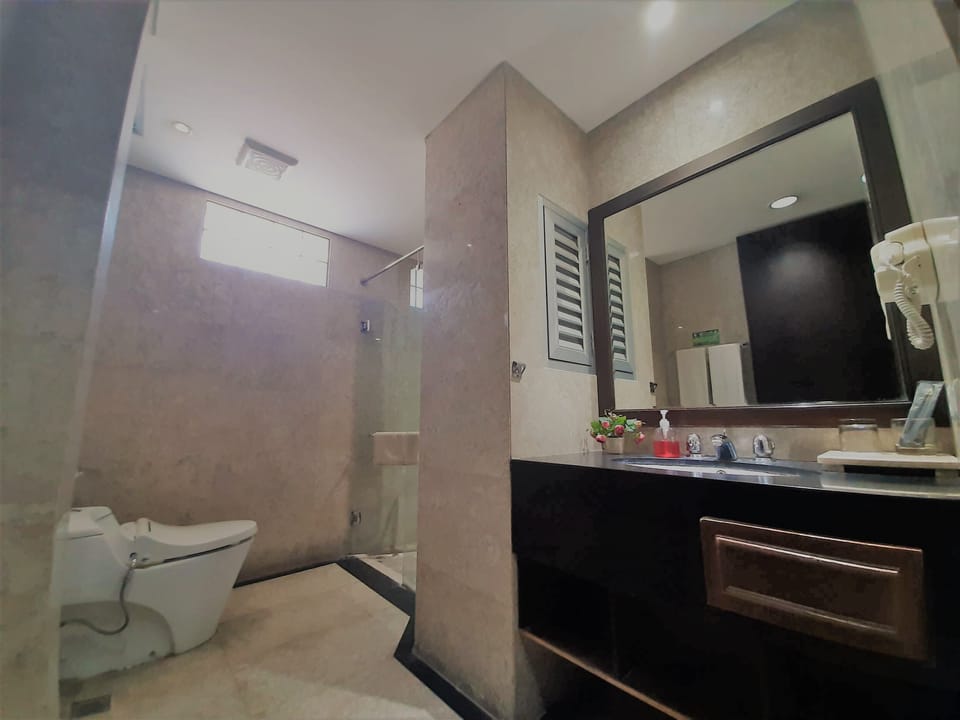 Deluxe Room | Bathroom | Shower, free toiletries, towels