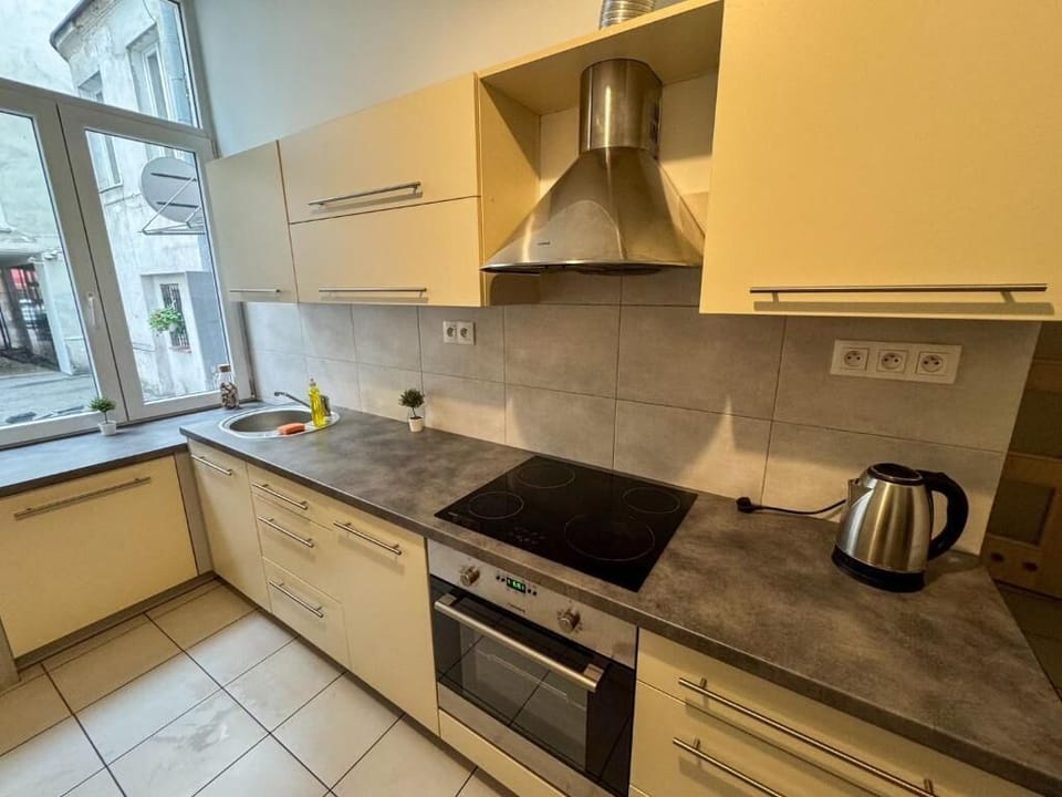 Classic Apartment | Private kitchen | Fridge, microwave, electric kettle
