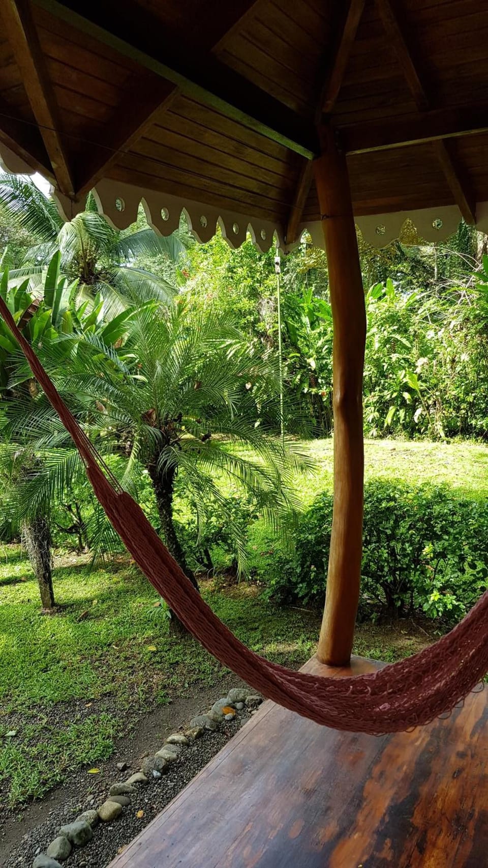 Ciudad Pérdida Ecolodge Lodge in Cahuita