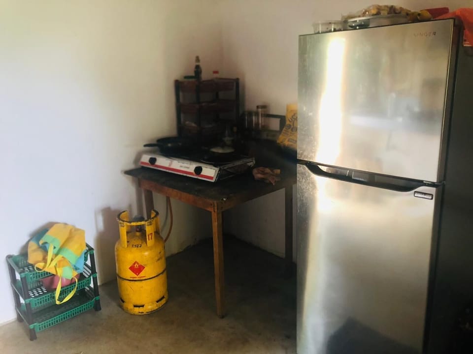 Deluxe Triple Room, Lake View | Shared kitchen | Full-size fridge, dishwasher, electric kettle, toaster