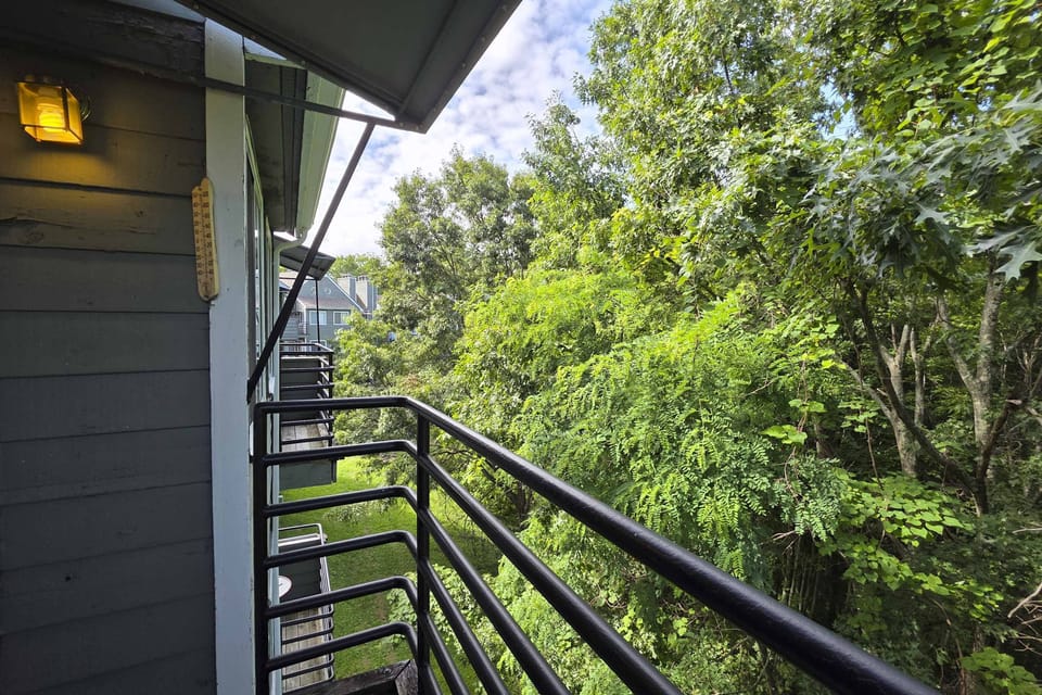 Unwind with stunning views of lush greenery and vibrant colors of nature!