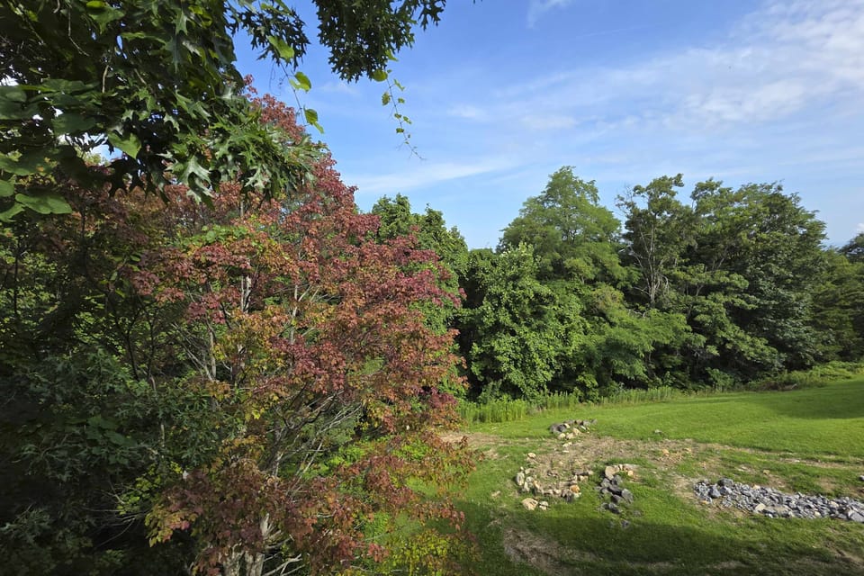 Immerse yourself in nature with vibrant foliage and serene mountain vistas!
