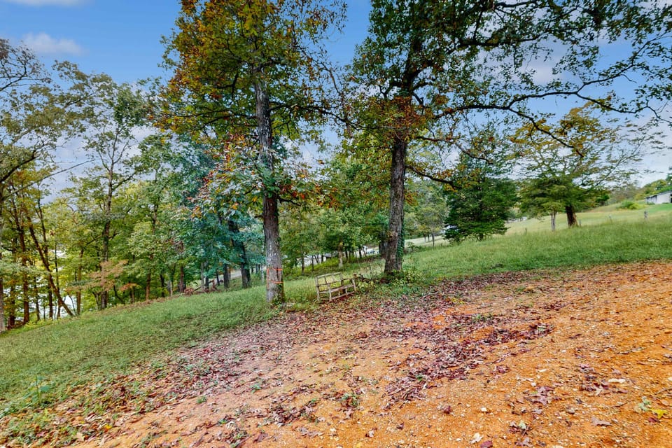 Peaceful wooded hillside with wide open yard. 