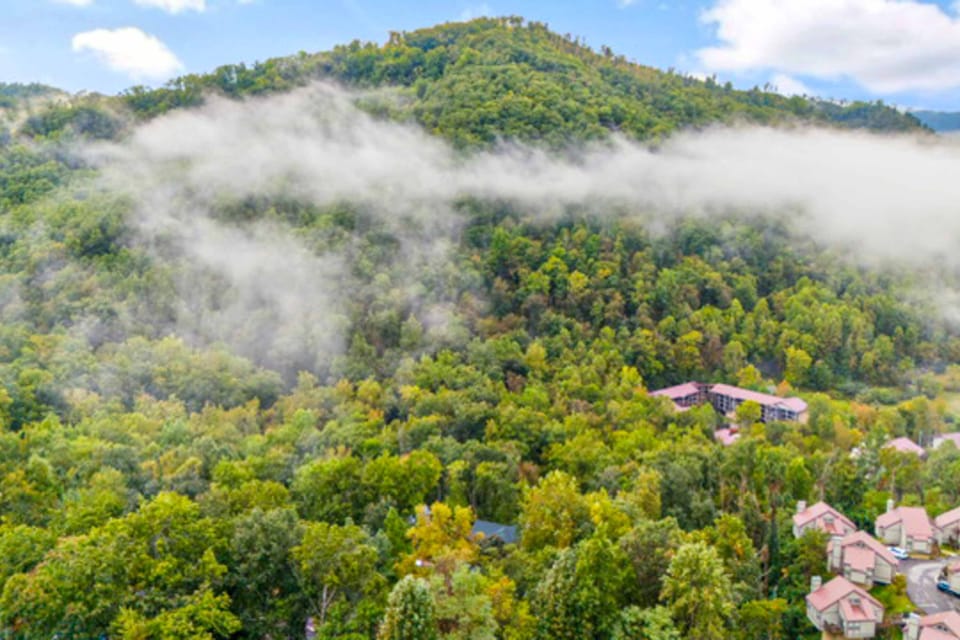 Immerse in nature with stunning mountain views and fresh, crisp air!