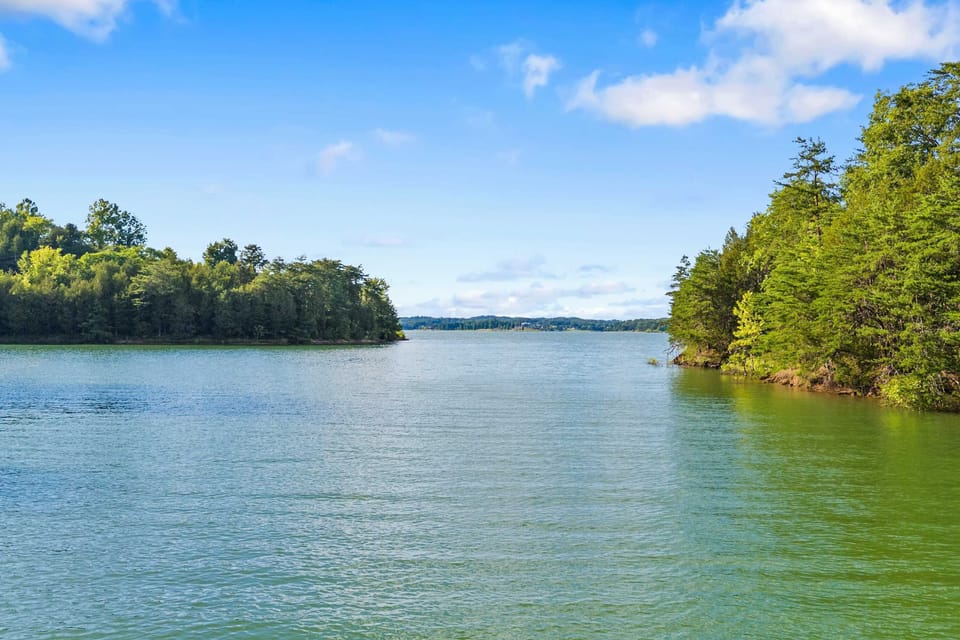 Unwind with breathtaking views of the shimmering water and lush greenery!