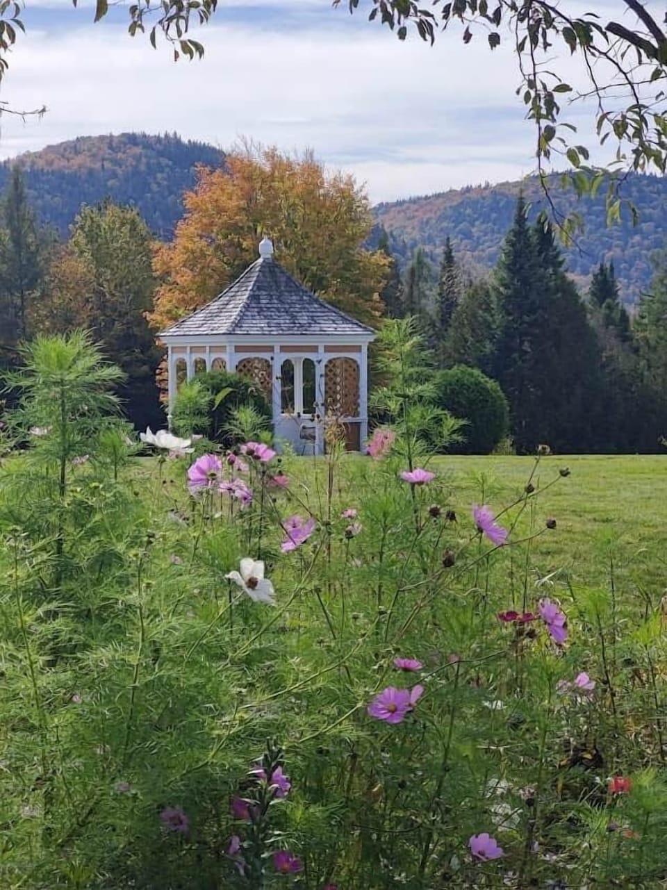 Gazebo summer flowers