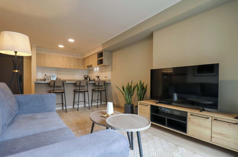 Modern living room with television