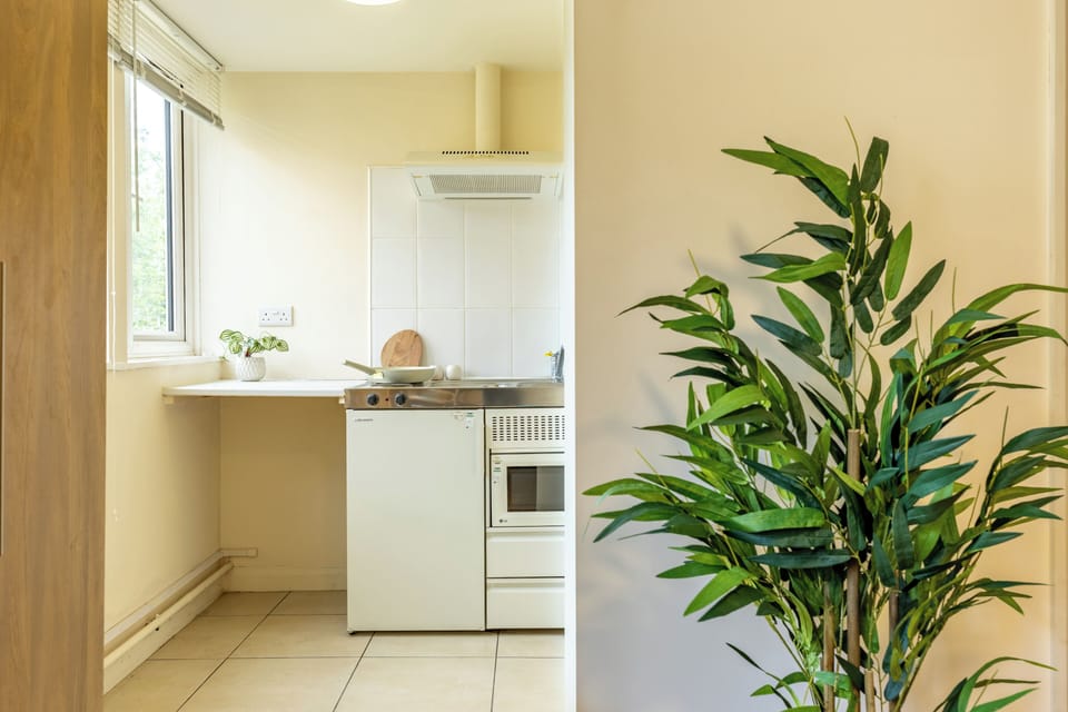 Studio, Non Smoking | Private kitchen