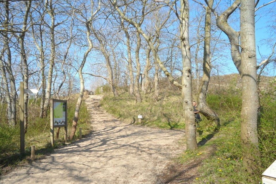 Surroundings [summer] (1-5 km)