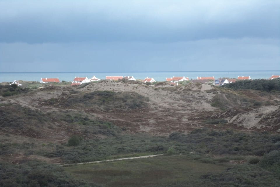 Surroundings [summer] (1-5 km)