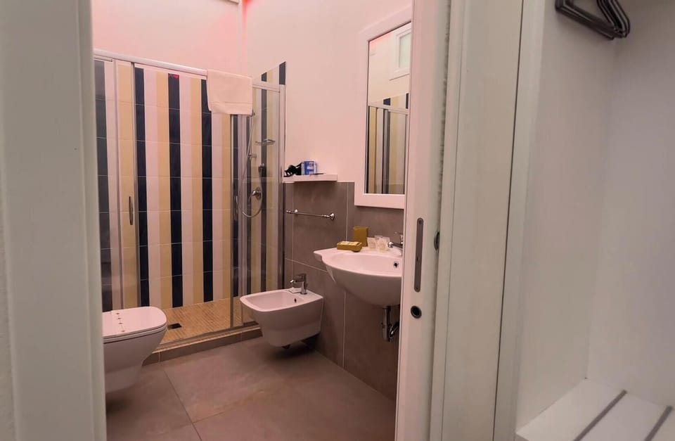 Hair dryer, bidet, towels, soap