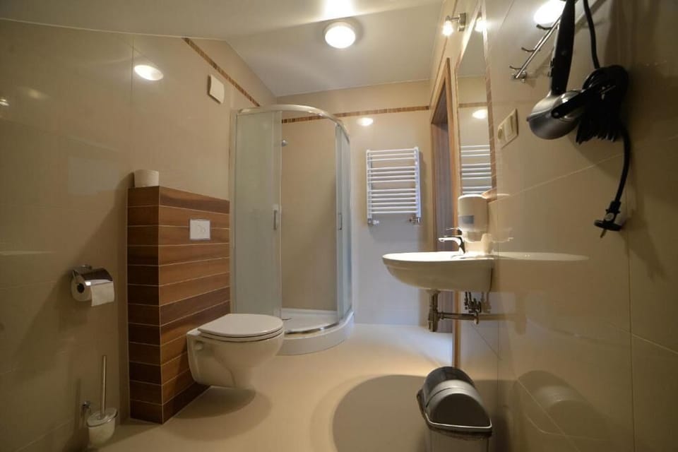 Classic Twin Room | Bathroom | Shower, hair dryer, towels, toilet paper