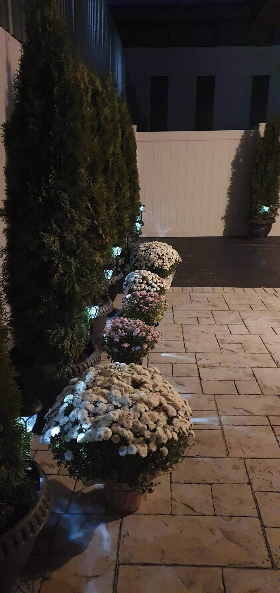 Apartment, 1 Bedroom, Balcony | Property grounds