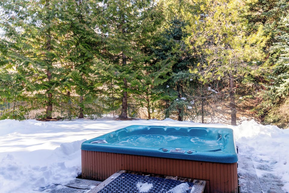 Private hot and backyard - the perfect place to relax and restore after a big day of play