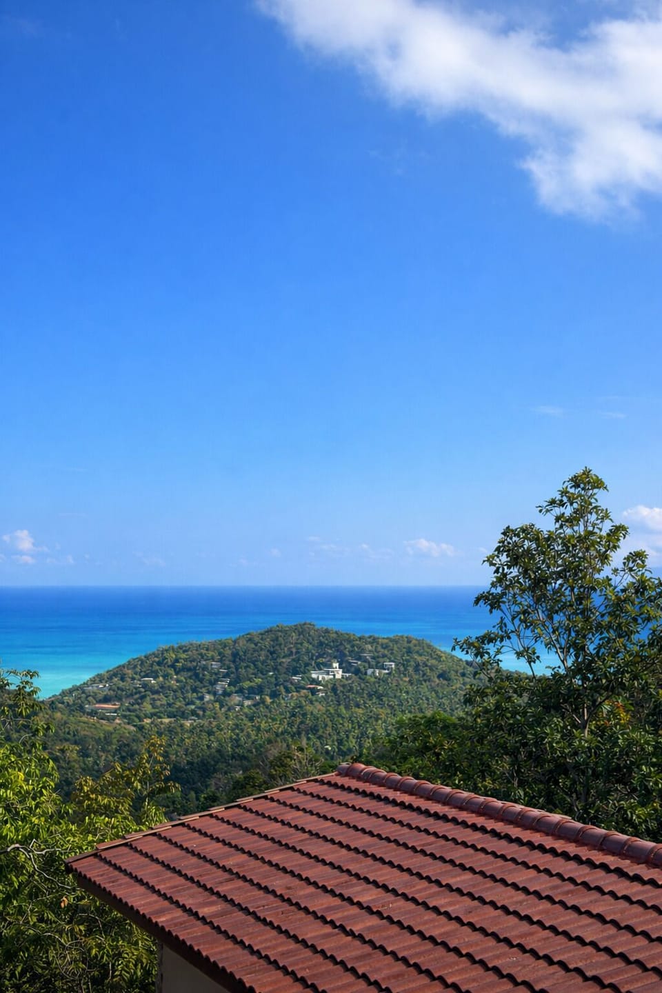 View from room
