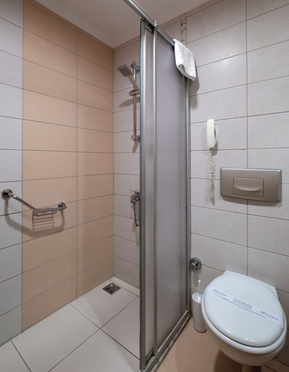 Eco-friendly toiletries, hair dryer, towels, soap