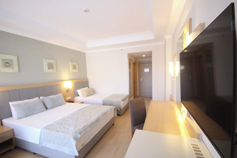 Single Room, Balcony | In-room safe, desk, WiFi