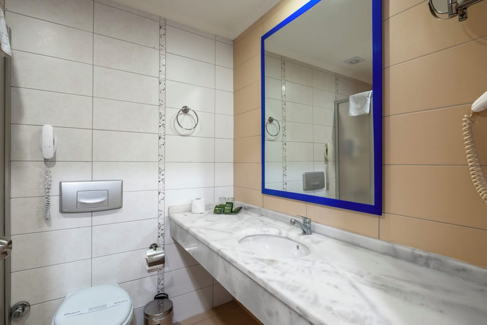 Eco-friendly toiletries, hair dryer, towels, soap