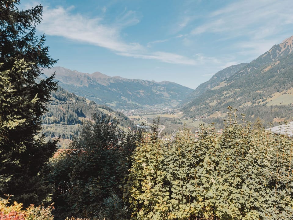 View