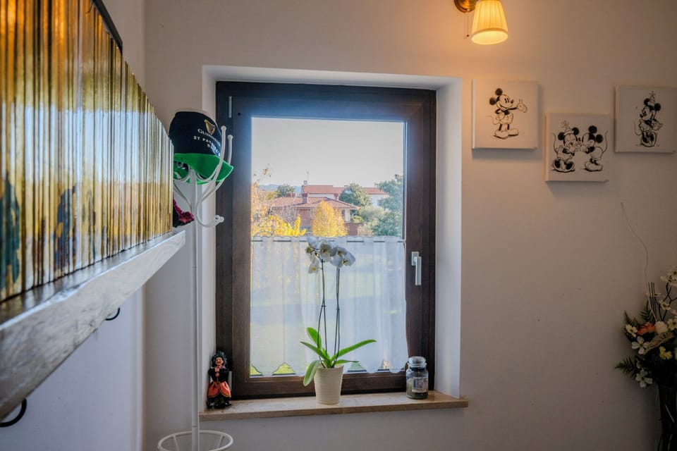 Suite | Free WiFi