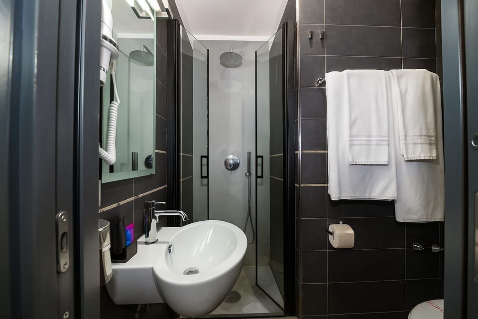 Shower, towels, toilet paper