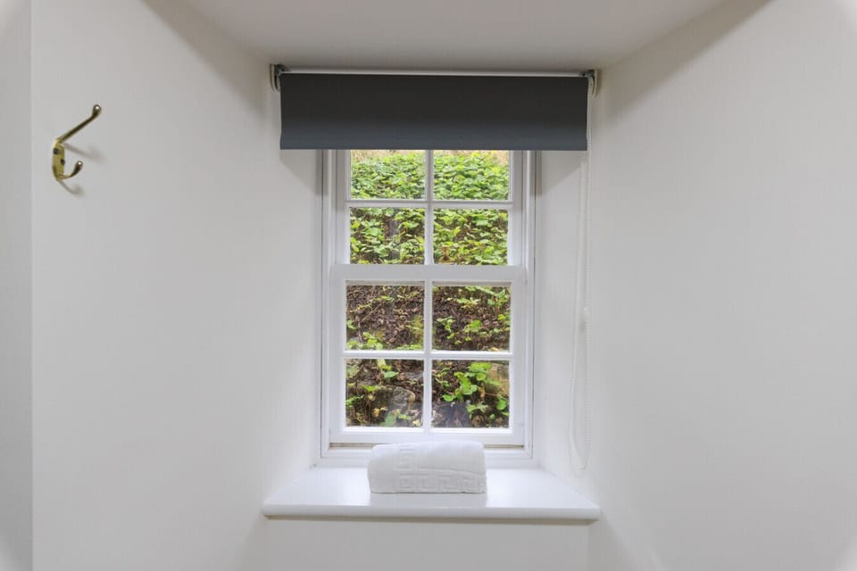 Window with natural light