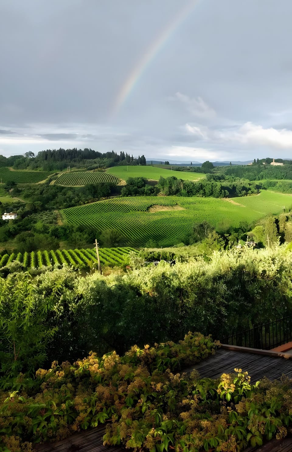 View from property