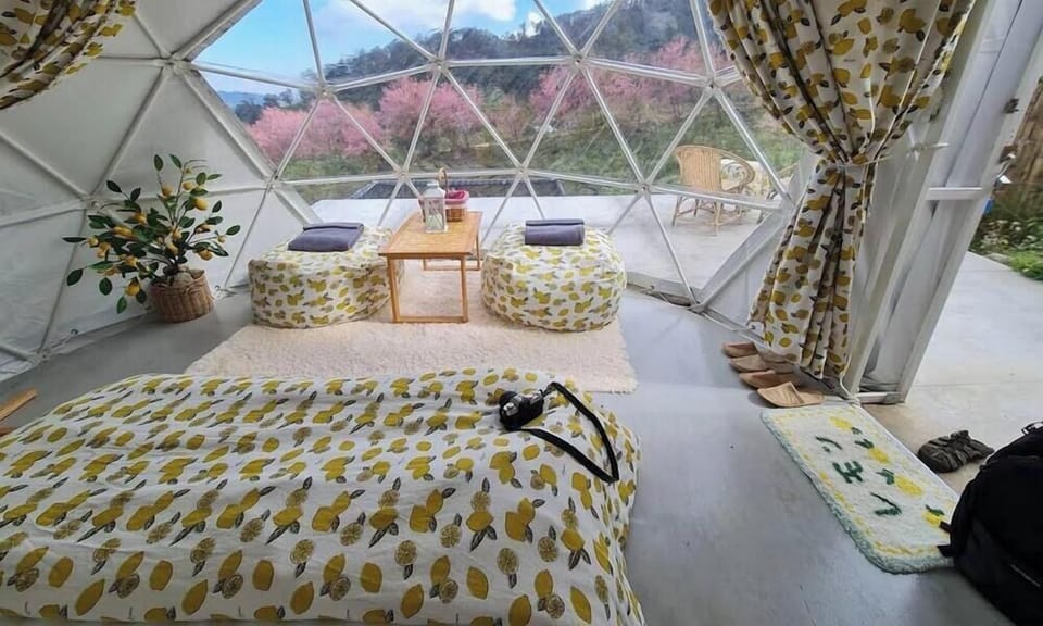 Comfort Tent, 1 Queen Bed, Non Smoking, Garden View | Rollaway beds