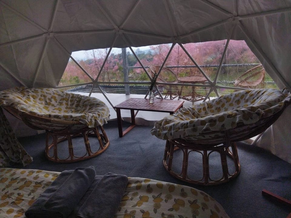 Comfort Tent, 1 Queen Bed, Non Smoking, Garden View | Rollaway beds