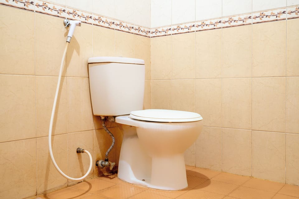 Deluxe Triple Room | Bathroom | Towels