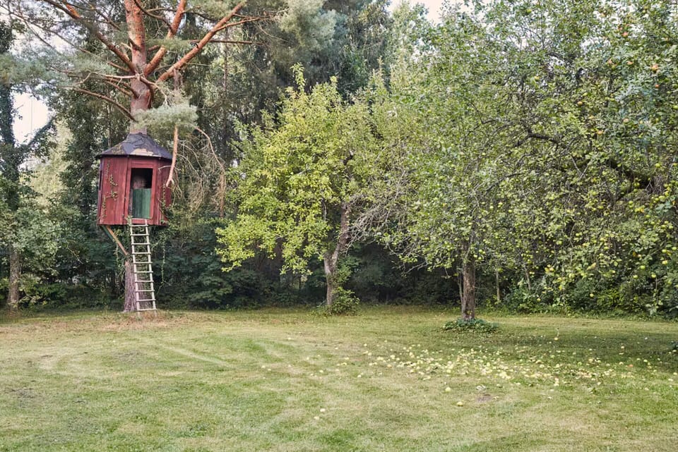 House | Garden