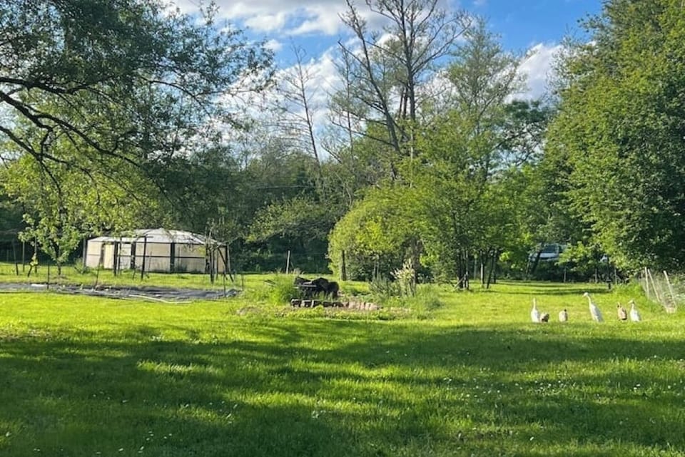 Property grounds