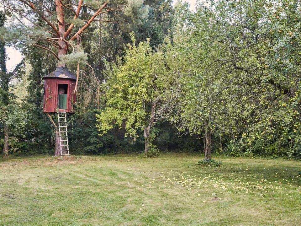 House | Garden